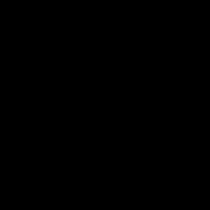 Meet your Posher, Dylan